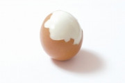 「卵は1日何個まで食べていいのか」論争に大きな動きが！！答えは○○によって変わる可能性もある・・・