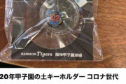 【高っっ】甲子園の土キーホルダー、早速メルカリに出品されてしまう