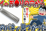【2ch面白いスレ】ワイのシ●の穴から謎のバネ見つかったwwww【ゆっくり解説】