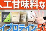 プレーンのソイプロテイン飲んだけどマズすぎワロタｗｗｗｗｗｗ