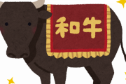 【ふざけんな！】自民党「お肉券とお魚券が国民にバカウケやな…よし次に打つ手は！」→