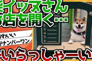 【2ch動物スレ】柴イッヌさん、お店を開く…どれにしますかー？