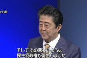 【悲報】ワイガイジ、民主党政権の悪夢がよくわからない