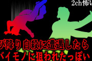 【2ch怖いスレ】飛び降り自殺に遭遇したらヤバイモノに狙われたっぽい【ゆっくり解説】