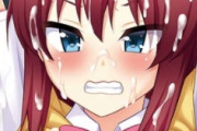 ｴﾛｹﾞやってたらフェミニストになりかけている妹に「このゲームって女の子を性的搾取しているよね」って言われた