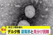 【悲報】デルタ株、換気の悪い地下でエアロゾル感染。ウイルス量は1000倍。日本壊滅へ