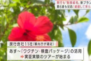 旅行も“制限緩和”　第6波も見据えたツアー運用も(2021年10月7日)