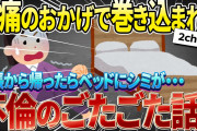 【2ch名作スレ】出張から帰ったらベッドにシミが点々とついていた！！