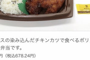 【参考画像あり】セブンさん「はぁ…おまえらこういう弁当でいいんだろ？ｗ」