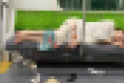【画像】エチエチまんさん、電車でスヤスヤｗ