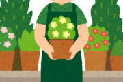 同僚「お前、男で園芸好きとかキモっＷ」　ワイ「……クソッ……クソッ！」→こうなったｗｗｗｗｗｗｗｗｗｗｗｗｗ