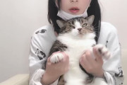 【画像】Ａ Ｖ女優さん下着姿で猫と寝ているところイラストレーターに絵にされる