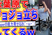 【2ch面白いスレ】大晦日だし秋葉原でジョジョ立ちするおｗｗｗ【ゆっくり解説】