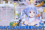ホロライブ兎田ぺこらさん、お前らが性的な目で見てくれない事にブチギレるｗｗｗｗ