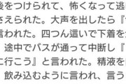 【閲覧注意】レ●プされた女子児童の供述内容がヤバすぎる…（画像あり）