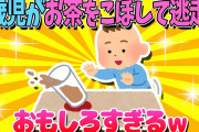 【2ch面白いスレ】1歳児がお茶をこぼして逃走！その後がおもしろすぎるｗ【ゆっくり解説】
