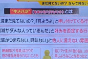 【悲報】「『鬼滅の刃』がつまらないと言えない・・・?」 ”キメハラ”に世間が困惑