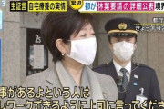【画像】小池百合子ちゃん「テレワークできるように上司に言ってね❤」警備員「……?」