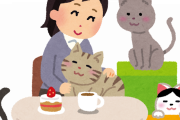 【驚愕】アメリカの「猫カフェ」に日本人が行った結果ｗｗｗｗｗｗ