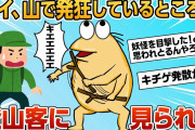 【2ch面白スレ】ワイ、山で発狂してるところを登山客に見られてしまう【ゆっくり解説】