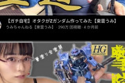 【画像】エチエチグラドル「おっぱい出してガンプラ作ったｗ」→300万回再生