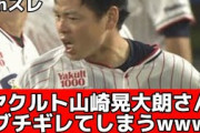 ヤクルト山崎晃大朗さん ブチギレる【2chスレ】