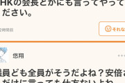 【悲報】ゆきぽよ「安倍は年収に見合う仕事してない」　→愛国者「！！！！」ｼｭﾊﾞﾊﾞﾊﾞ