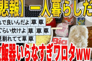 【2ch面白いスレ】【悲報】一人暮らしだと、炊飯器いらなすぎワロタｗｗｗｗｗｗｗｗｗ　聞き流し/2ch天国