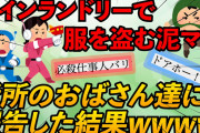 【2ch伝説スレ】コインランドリーで乾燥機に入れたうちの物を取り出してる子連れママがいた。機転を利かせて未遂に終わらせる。それを近所のおばさん達に話した【ゆっくり解説】