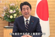 真面目な話ネトウヨって安倍晋三のどこらへんを支持してんの？