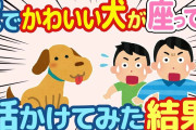 【2ch ほのぼの】なぜか飼ってないのに帰ってきたらかわいい動物がお座りしてた→話しかけてみたら…