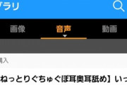 【悲報】ぼく、また同人音声作品を買ってしまう
