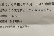 【悲報】日本政府「出産支援金、8万円増額ゥ！！」産婦人科「？！」ｼｭﾊﾞﾊﾞﾊﾞ