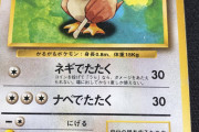 【速報】俺、ポケモンカードで富豪になれる可能性が浮上【画像あり】