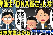 【2ch修羅場スレ】嫁弁護士「DNA鑑定はしない！女性に負担をかけるな！」女弁護士のトンデモ主張に俺弁護士ポカンw有能弁護士に全て丸投げしてみた結果嫁弁護士から衝撃連絡が…