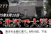 【速報】たつき鯨、新予言ｗｗｗｗｗｗｗｗｗ