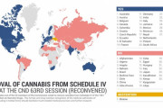 大麻を危険薬物リストから除外するのに賛成した国と反対した国がこちらｗｗｗｗ
