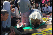 【gif】花見でパンチラ