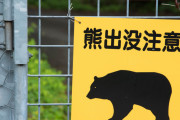 クマ駆除の報道に「殺すな！」と抗議電話する人たち　秋田県の猟友会員「関西弁での抗議が多いですね」