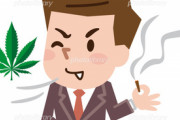【画像】日本人が大麻に抱くイメージがヤバすぎると話題にｗｗｗｗｗｗ