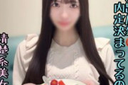 【エロ動画 素人】 清楚で可憐な性欲MAXの女子大生が巨根を求めてハメ撮り