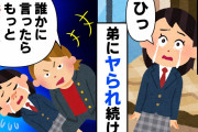 【痛い話】①寝室から叫び声、姉「助けてー！！」→弟が実の姉に覆いかぶさり…②オタクの兄が連れてきた結婚相手が和風美人→私「結婚詐欺じゃないの？」兄「実は…」【2ch修羅場】【ゆっくりスレ解説】