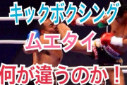 【悲報】なんJ民、ムエタイとキックボクシングの違いがわからない