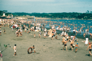 【画像】1949年の日本人の海水浴