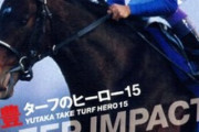 ディープインパクト死去に2ch衝撃！競馬史上最強の7冠名馬が頸椎骨折で安楽死！公式発表全文、画像、ネットの感想まとめ