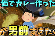 【2ch安価スレ】安価でカレー作ったら1が男前すぎたｗ