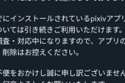 【悲報】Google、日本のPixivを児童性虐待サイトに指定、存在を削除