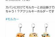 【悲報】PUIPUIモルカーさん、調子に乗って商品展開してしまう…