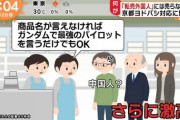 【悲報】ヨドバシ店員「ガンダムで最強のパイロットを言ってください」→中国人ブチ切れ