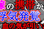 【2ch修羅場・浮気スレ】嫁の携帯をのぞいたら、浮気発覚した【ゆっくり】